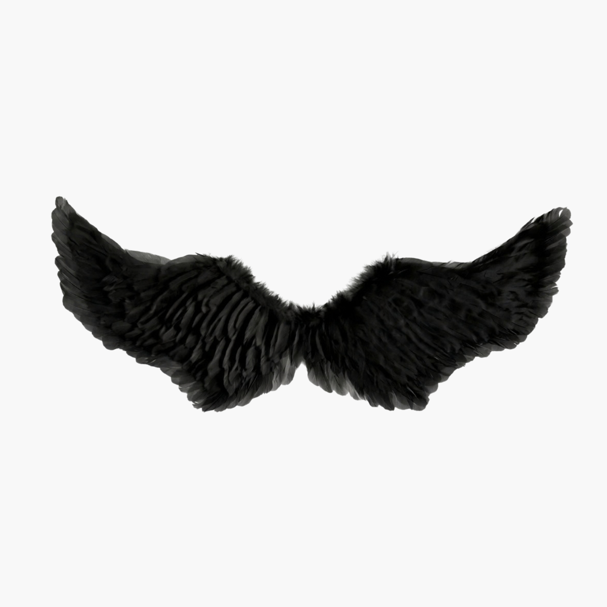 Alas de Plumas Negros | 2 Tamaños