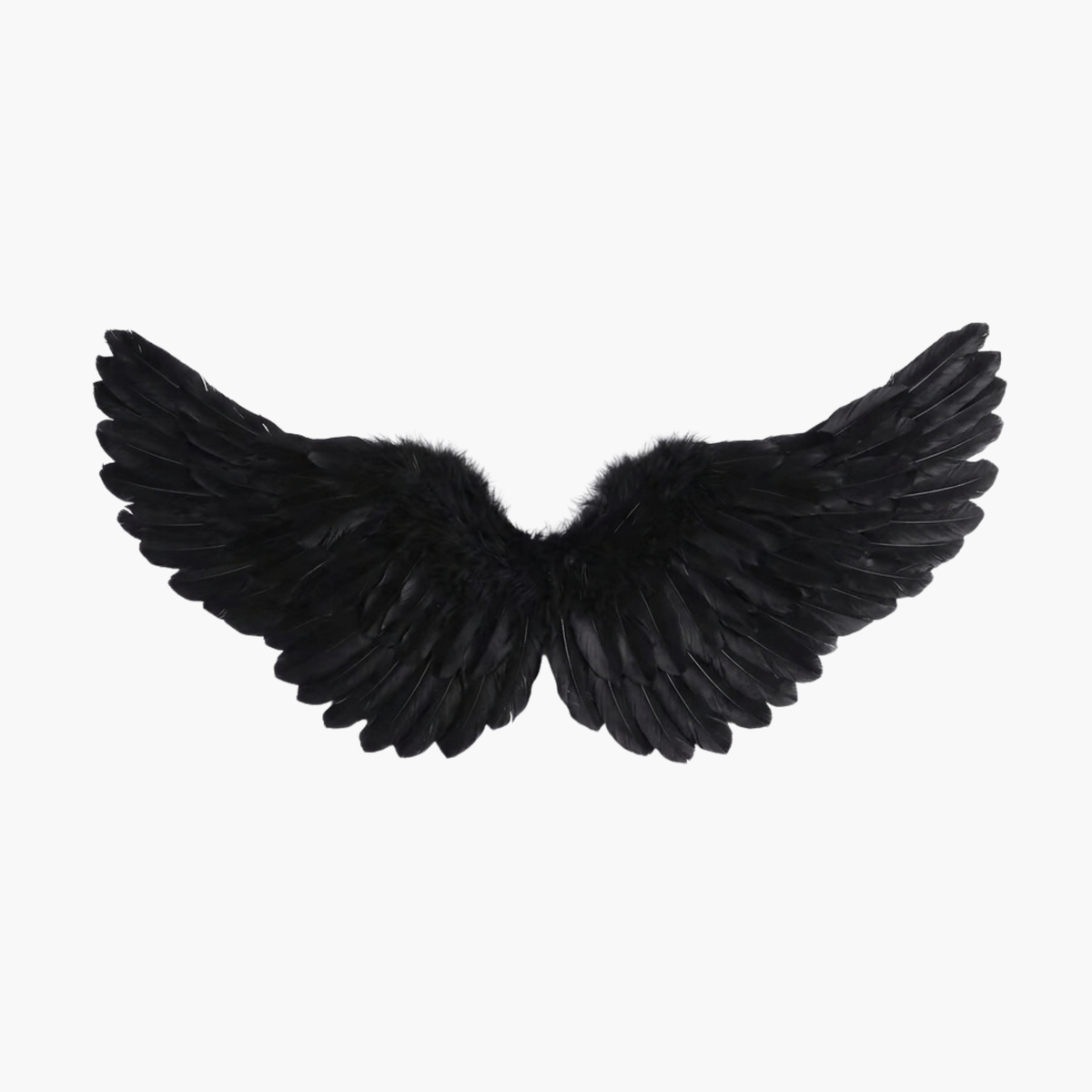Alas de Plumas Negros | 2 Tamaños