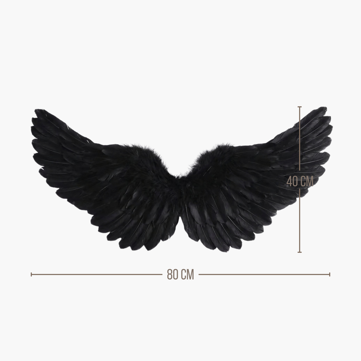 Alas de Plumas Negros | 2 Tamaños