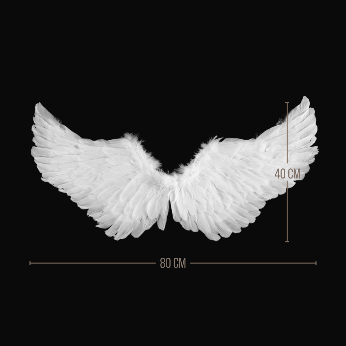 Alas de Plumas Blancas | 2 Tamaños