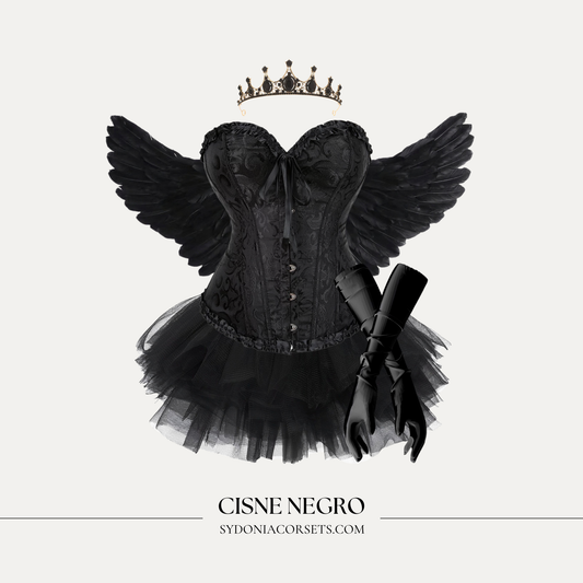 Disfraz Cisne Negro