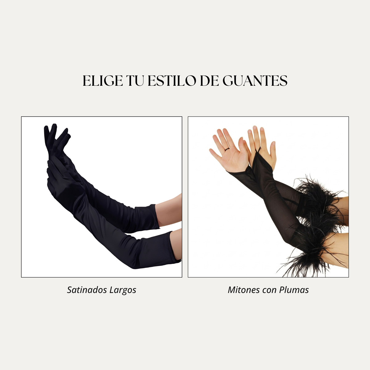 Disfraz Cisne Negro